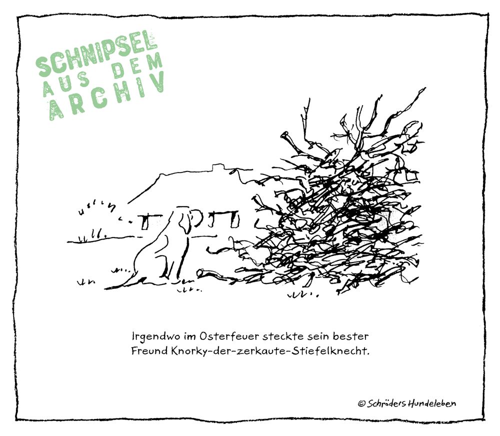 Das unerreichbare Hundespielzeug
