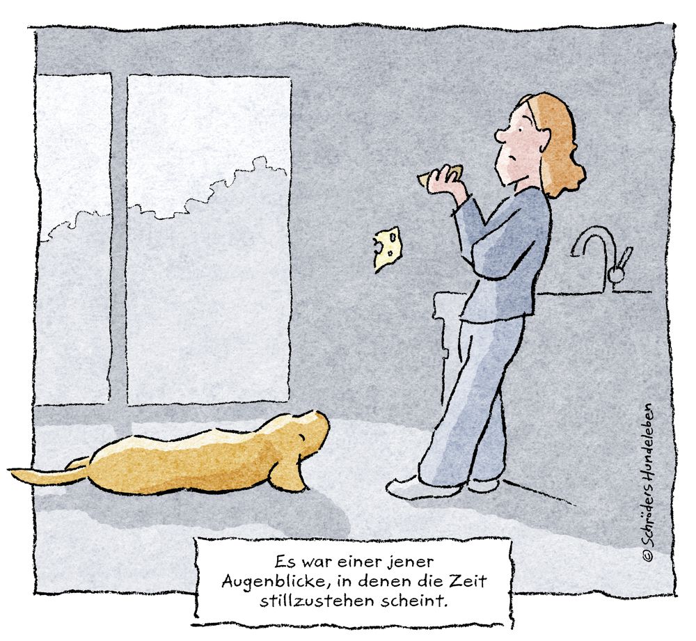 Darf ich meinem Hund Käse geben?