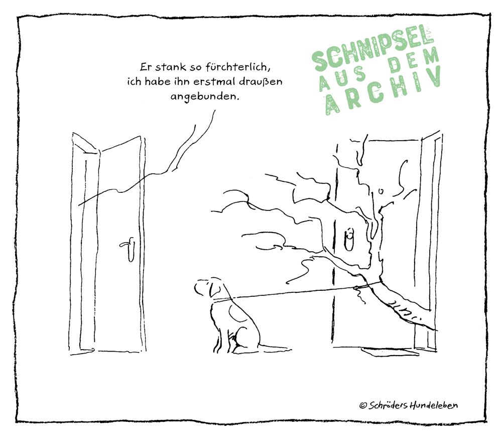 Schließe deinen Hund niemals aus