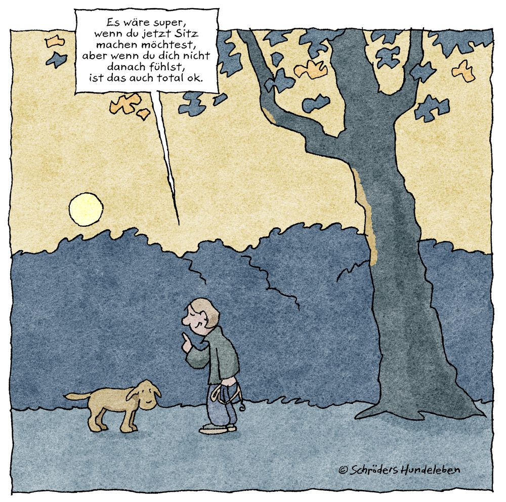 Lass deinem Hund nie die Wahl